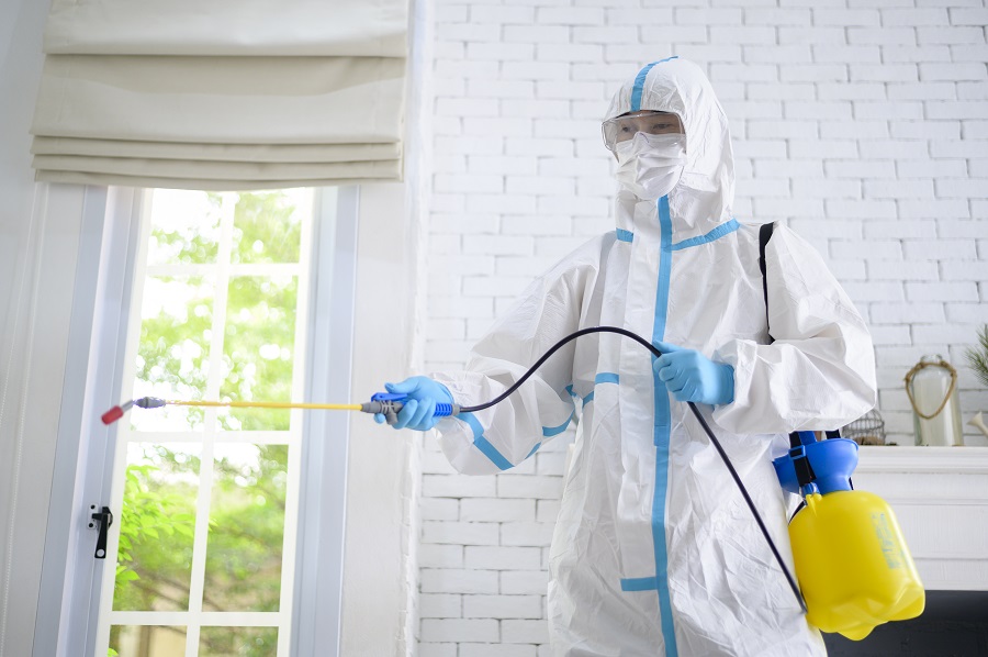 Real Feedback From Satisfied Clients in Hawx Pest Control Reviews